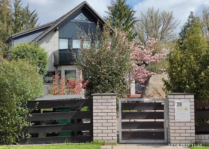 Waldblick By Momo Daire *