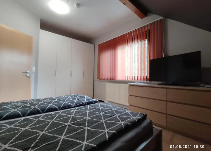 Waldblick By Momo Daire